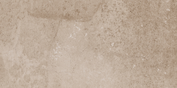 Керамический гранит EE02 30,6x60,9x8 Непол.