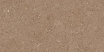 Керамический гранит NP03 30,6x60,9x8 Непол.